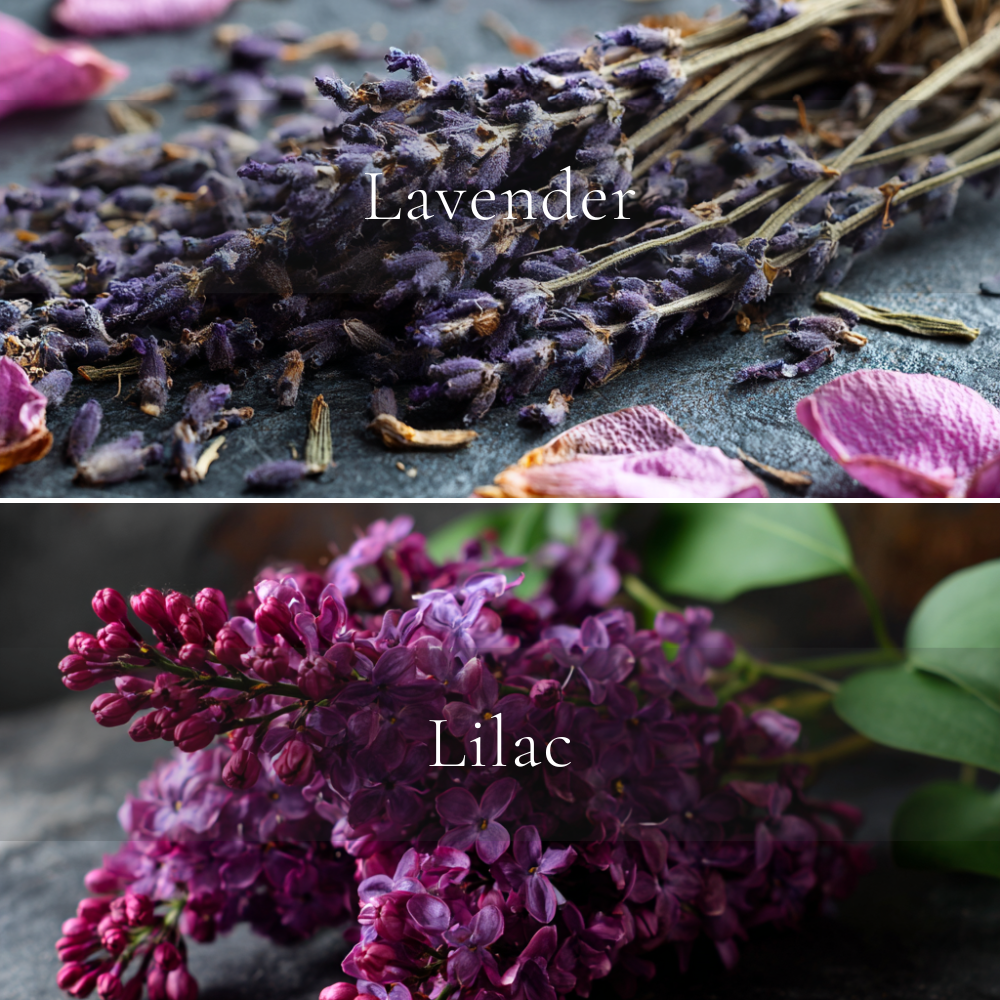 Lavender & Lilac