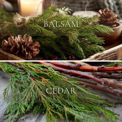 Balsam & Cedar